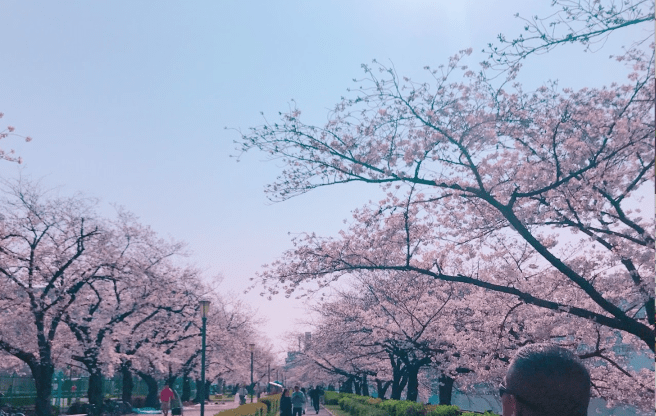 Screen Shot 2019-04-06 at 3.20.02 PM